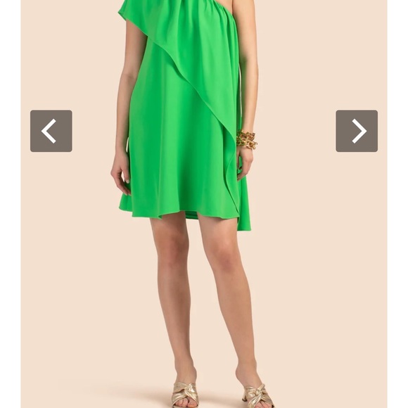 Trina Turk beautiful dress size extra small.  Worn twice to two parties. - Picture 5 of 6